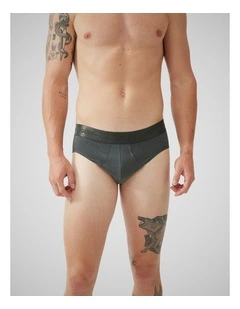 Shy Brief 3 Pack in Multi