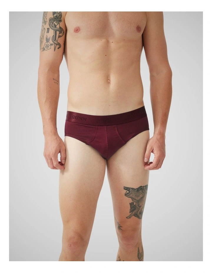 Shy Brief 3 Pack in Multi image 2