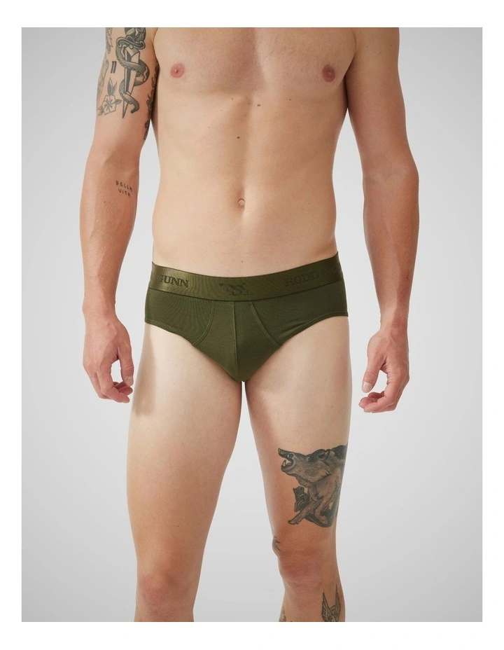 Shy Brief 3 Pack in Multi image 3