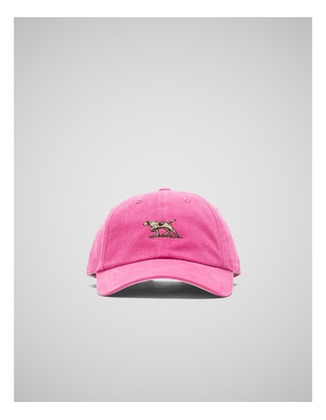 Fuchsia colour