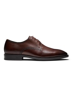 Magnus Derby Shoes in Brown