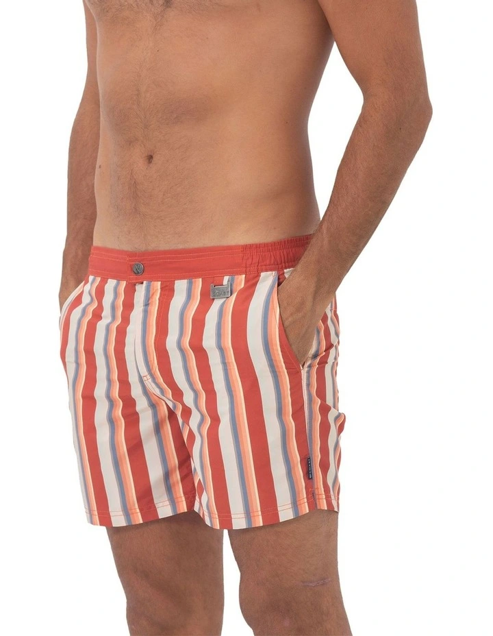 Stripe Swim Shorts in Tabasco image 3