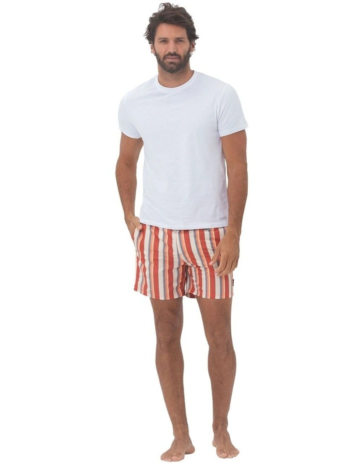 Stripe Swim Shorts in Tabasco image 4