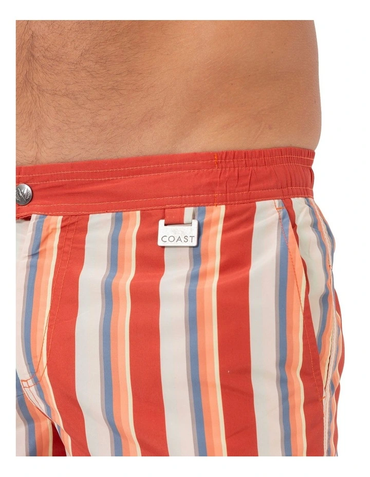 Stripe Swim Shorts in Tabasco image 5