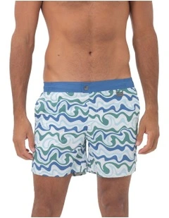 Palm Springs Swim Shorts in Blue