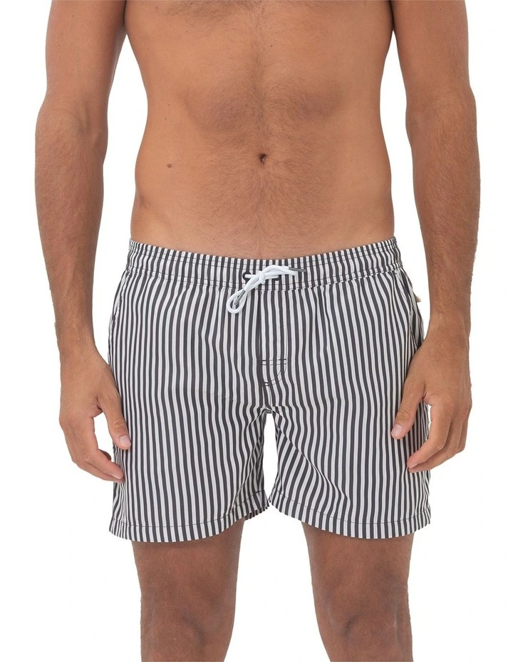 Praiano Swim Shorts in Grey image 1