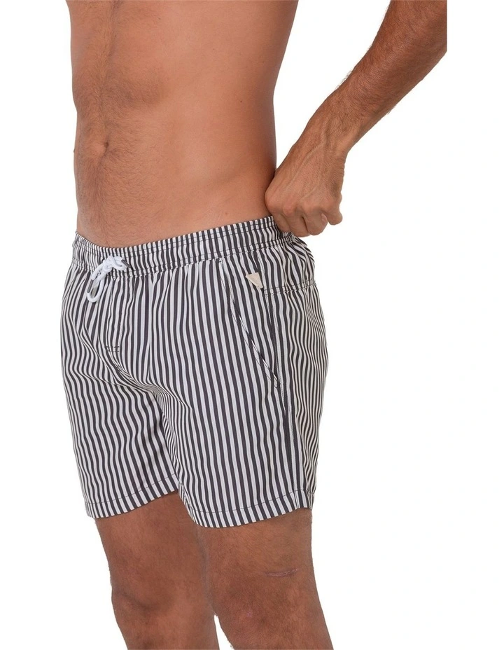 Praiano Swim Shorts in Grey image 3