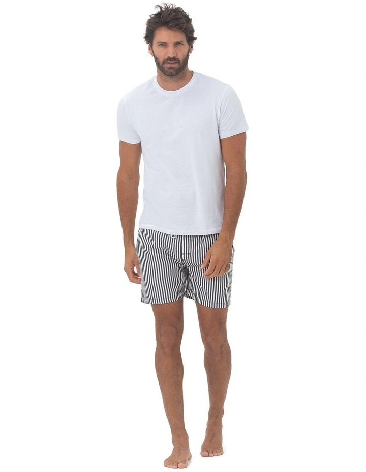 Praiano Swim Shorts in Grey image 5