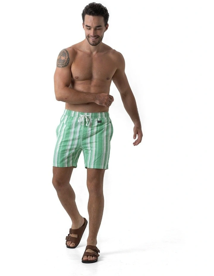 North Compass Shorts in Green image 5