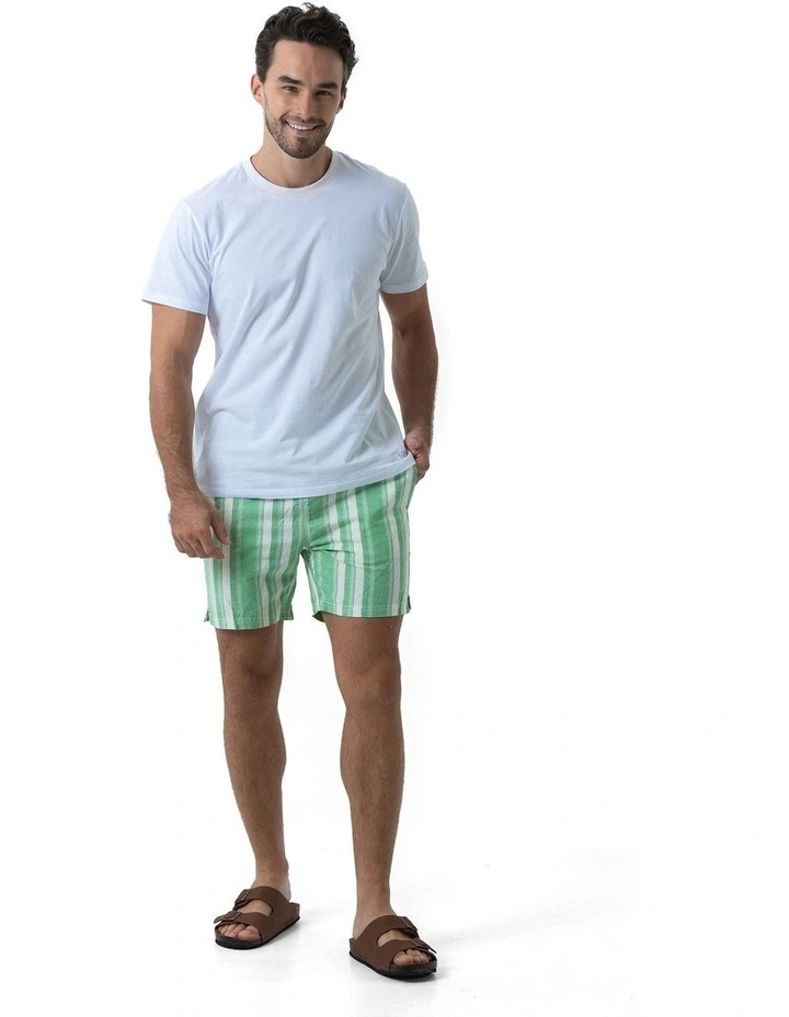 North Compass Shorts in Green image 6