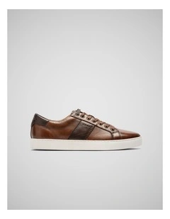 Endeavour Cruise Sneaker in Cognac