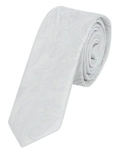 Patrick Paisley 5 Cm Width Tie in Silver