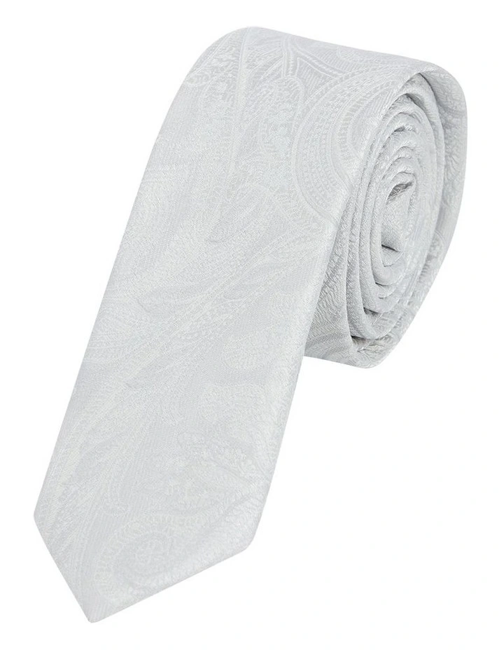 Patrick Paisley 5 Cm Width Tie in Silver image 1