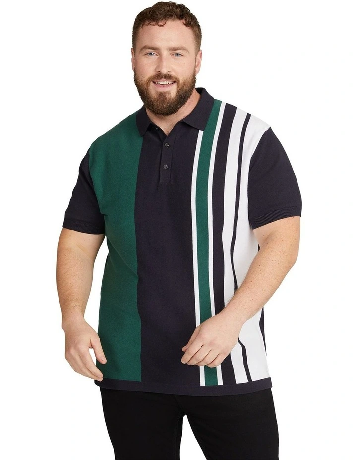 Aaron Stripe Knit Polo Shirt in Navy image 1