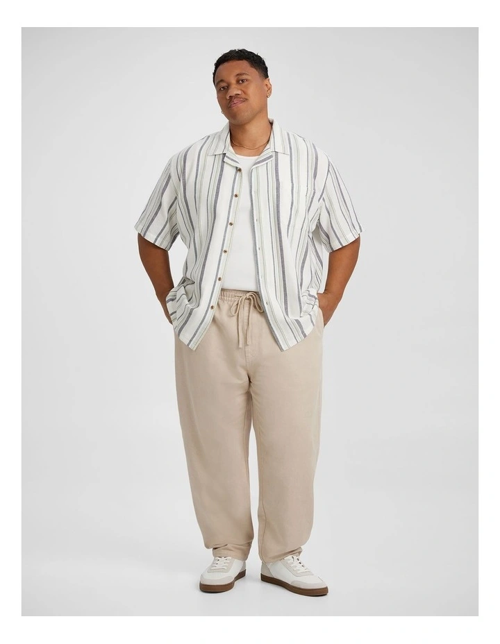 Ravello Linen Blend Pant in Stone image 4