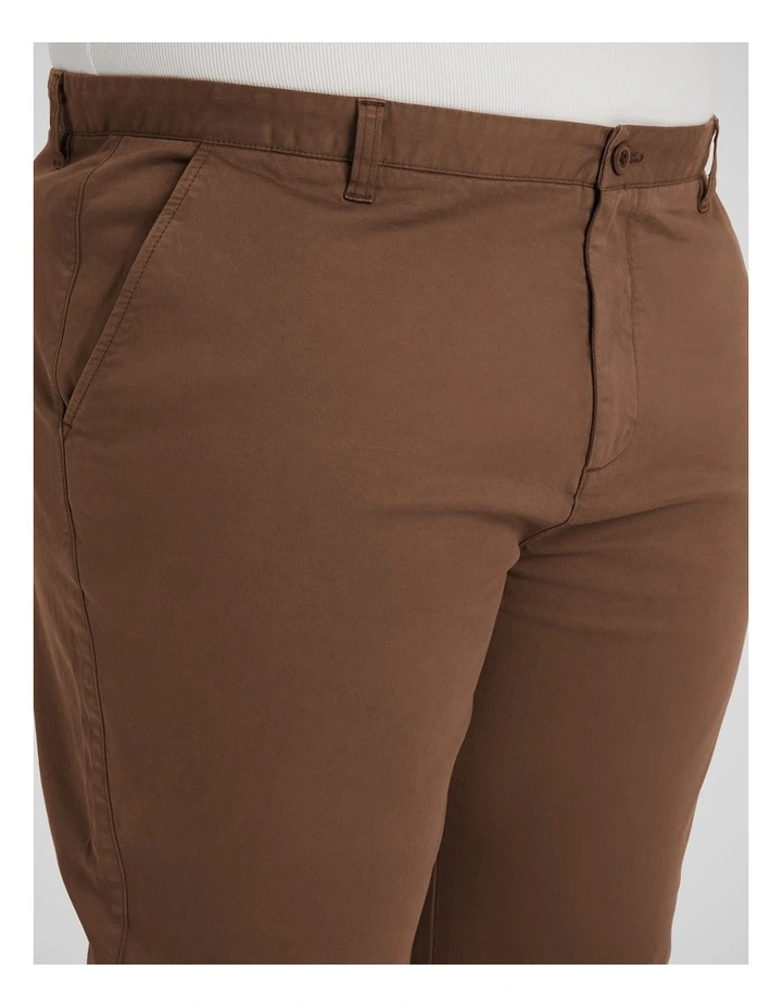 Brando Classic Chino in Bronze image 3