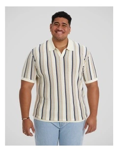 Brighton Stripe Knit Polo in Multi