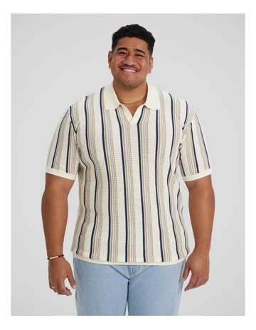 Brighton Stripe Knit Polo in Multi
