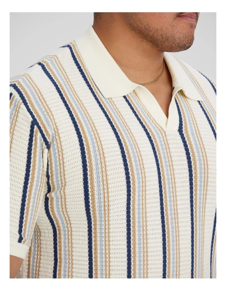 Brighton Stripe Knit Polo in Multi image 3