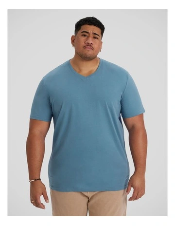 Essential V Neck Tee in Aegean