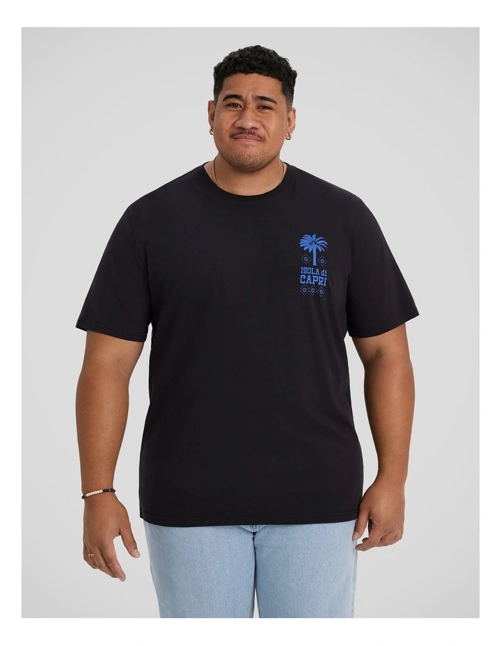 La Palma Crew Neck Tee in Black image 1