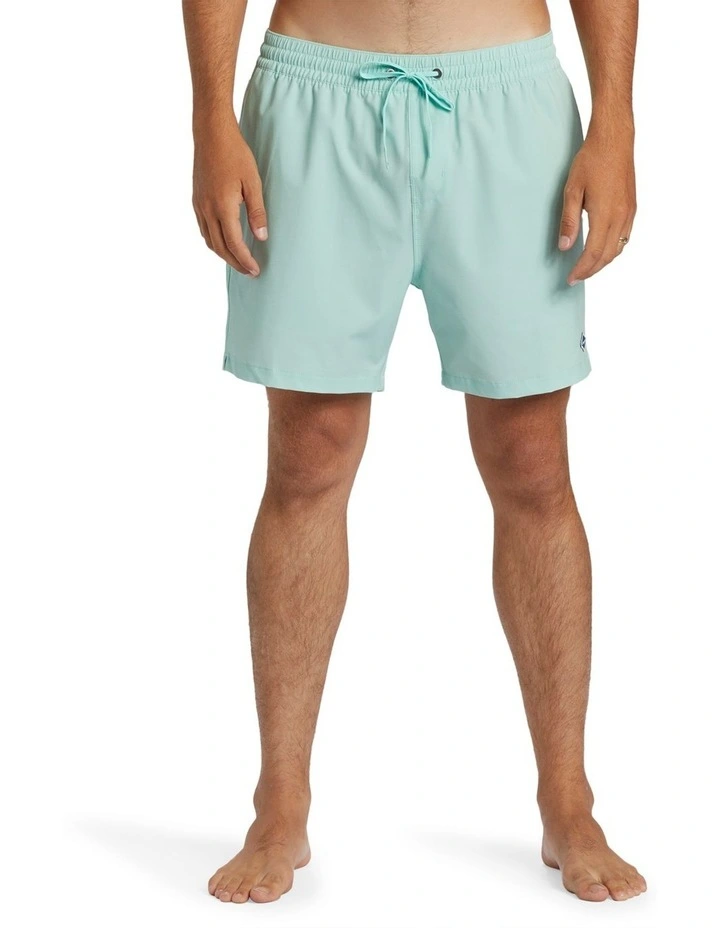 Every Other Day Boardshorts in Mint image 1