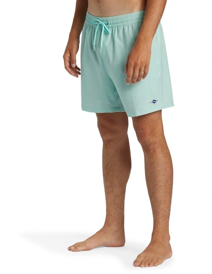 Every Other Day Boardshorts in Mint image 3