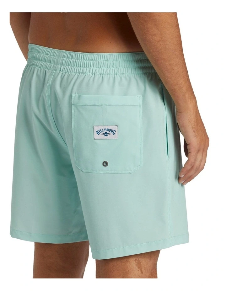 Every Other Day Boardshorts in Mint image 4