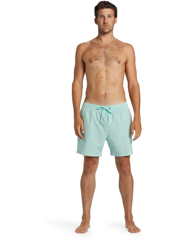 Every Other Day Boardshorts in Mint image 5