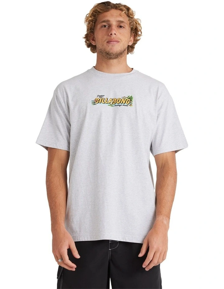 Holiday T-shirt in Light Grey Heather image 1