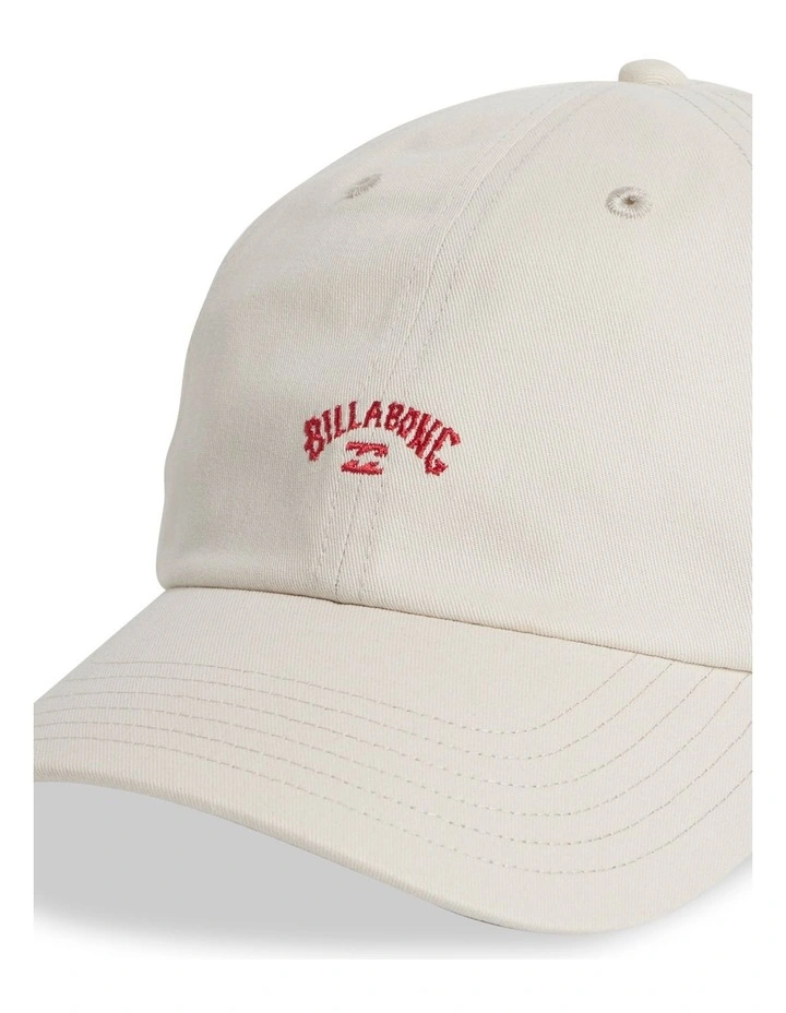 Peyote Dad Cap image 2