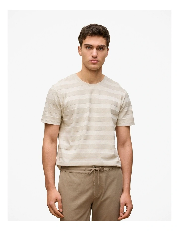Textured Stripe Crew T-shirt in Stone image 1