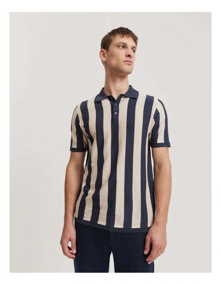 Cotton Silk Stripe Knit Polo Shirt in Navy Multi image 1