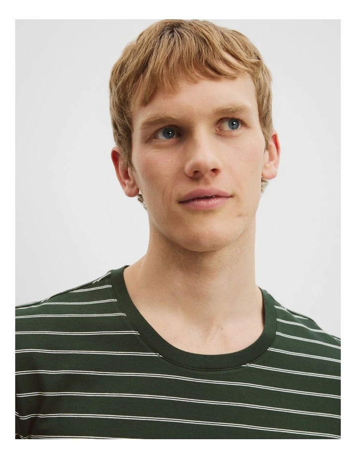 Pima Crew Stripe T-shirt in Emerald image 3