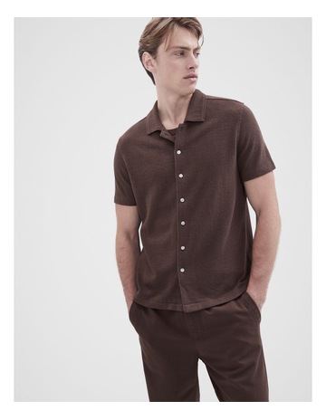 Mocha colour