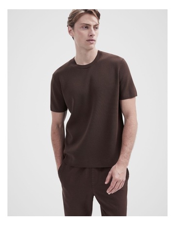 Mocha colour