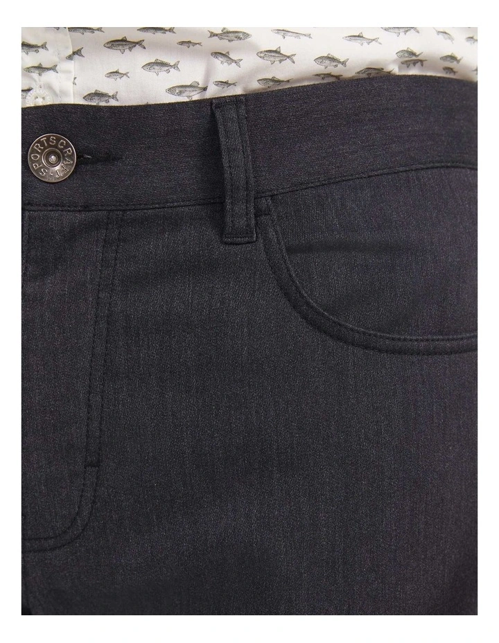 Arlo Brushed 5 Pocket Pant image 5