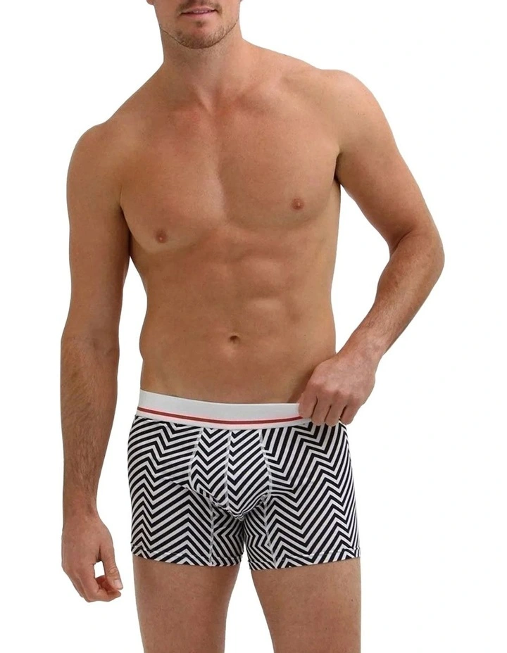 Bamboo Underwear Boxer in Multi image 4
