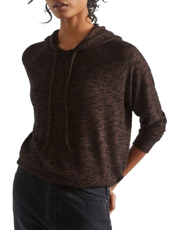 Supersoft Raglan Hoodie in Brown image 1