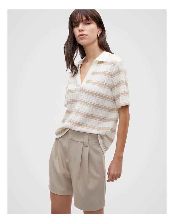 Variegated Stripe Polo in Cool Sand Stripe image 1