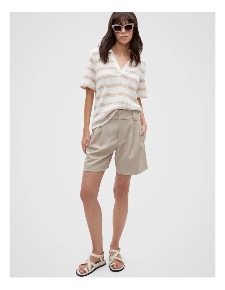 Variegated Stripe Polo in Cool Sand Stripe image 4