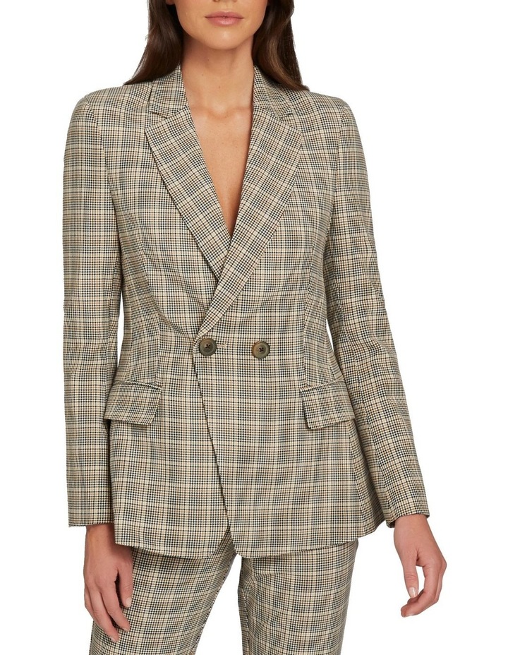 Seed blazer Clearance