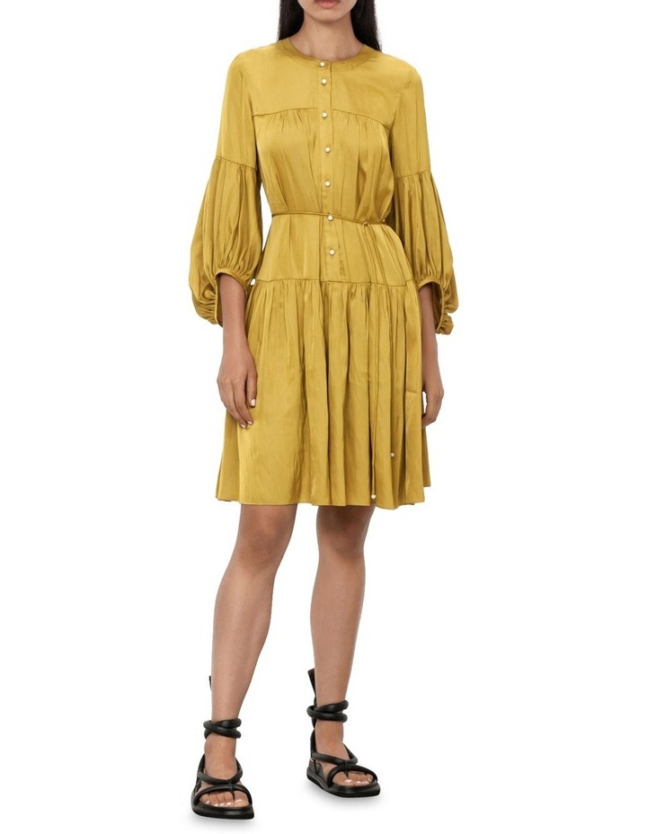 Fluid Satin Button Down Dress