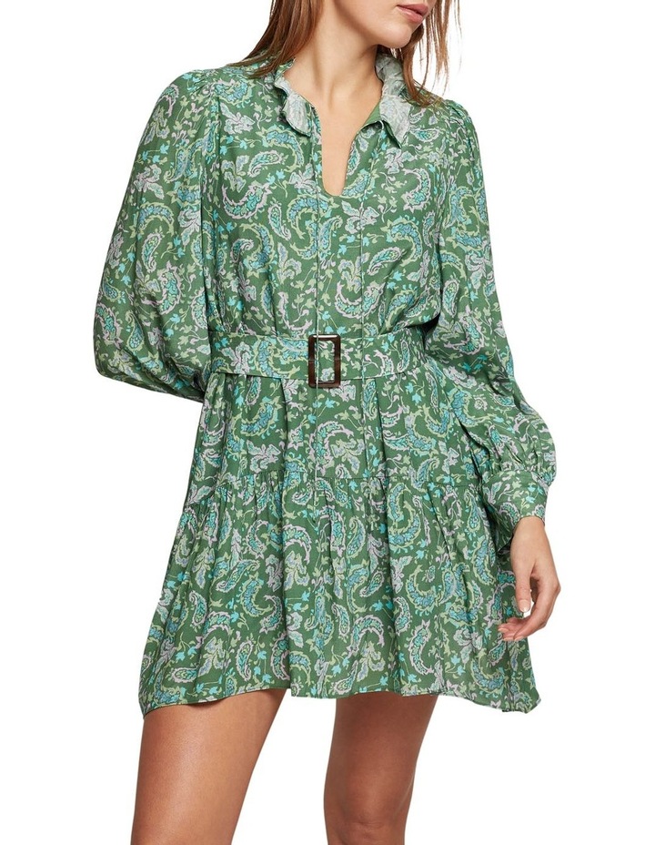 Braily Paisley Printed Dress in Green