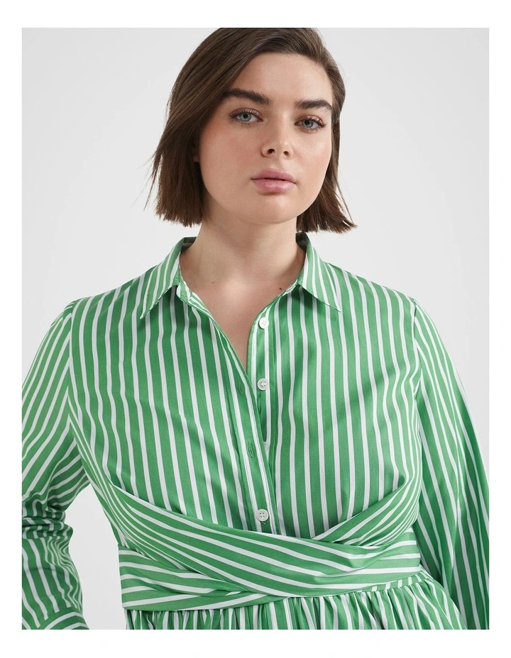 The Stripe Cotton Shirt Dress image 2