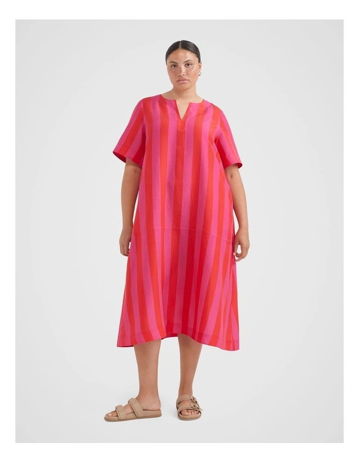 The A-Line Stripe Dress in Red/Pink image 1