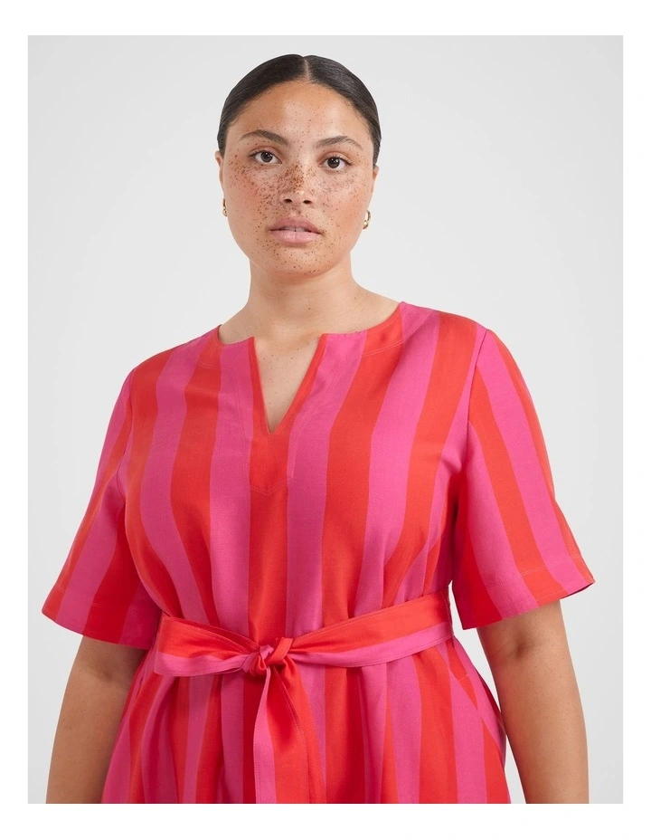 The A-Line Stripe Dress in Red/Pink image 2