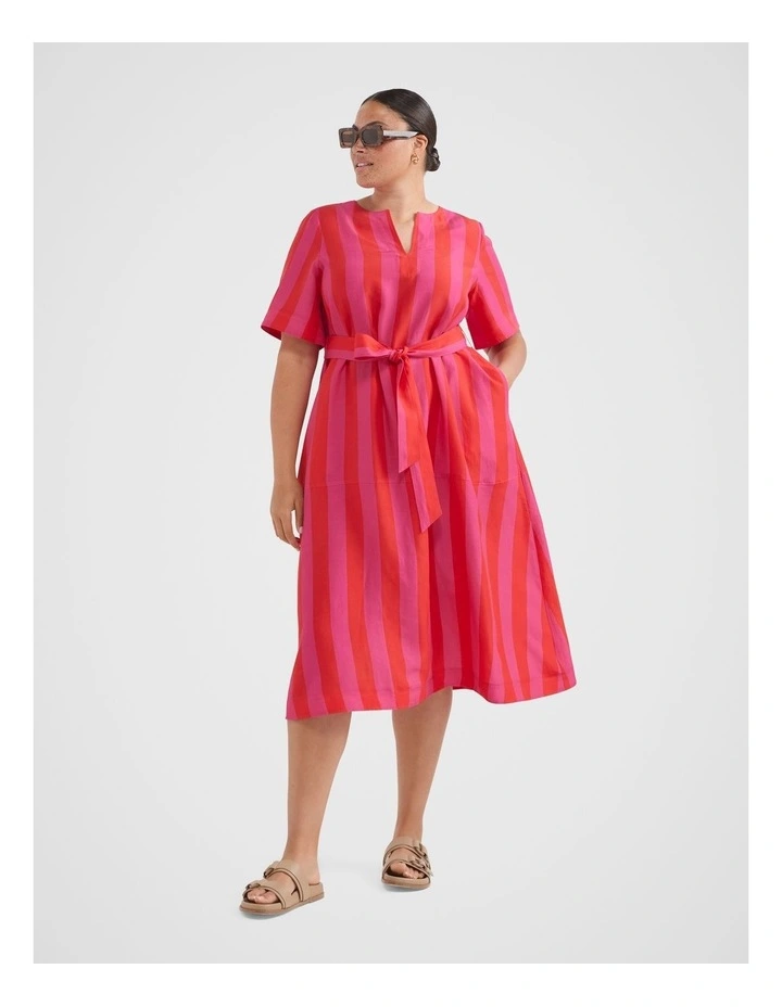The A-Line Stripe Dress in Red/Pink image 3
