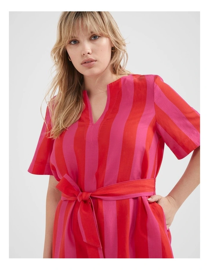 The A-Line Stripe Dress in Red/Pink image 6