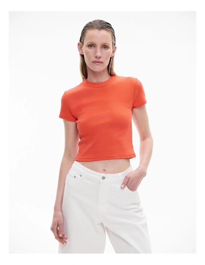 Rib Baby Tee in Tangerine image 1